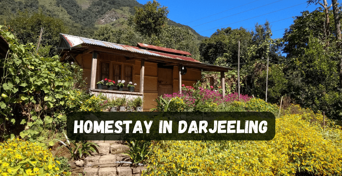 Homestay in Darjeeling